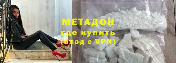 прущие грибы Лабытнанги