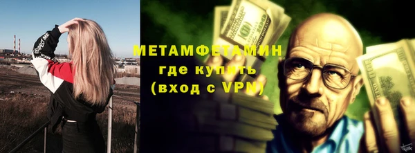 прущие грибы Лабытнанги