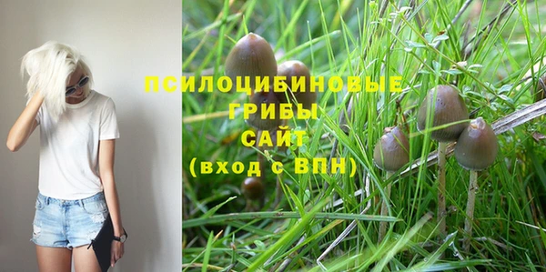 стаф Ладушкин