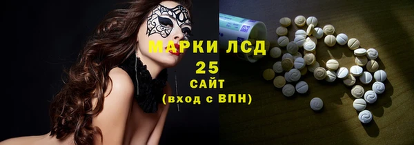 стаф Ладушкин