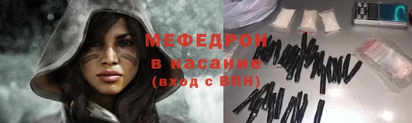 прущие грибы Лабытнанги