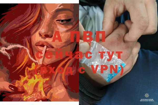 стаф Лагань