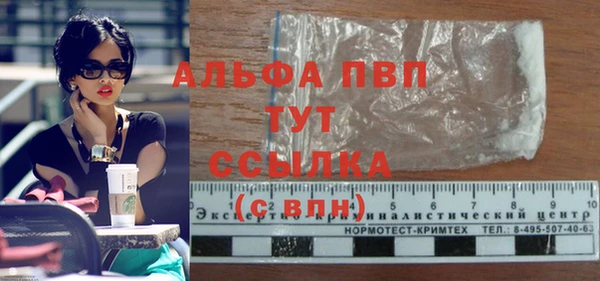 прущие грибы Лабытнанги