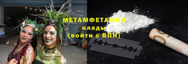 прущие грибы Лабытнанги