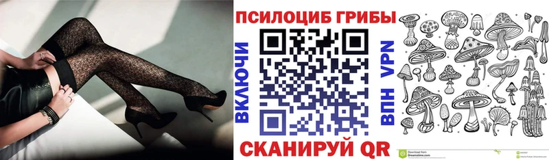 Псилоцибиновые грибы мицелий хочу ссылка на мегу рабочий сайт Магас